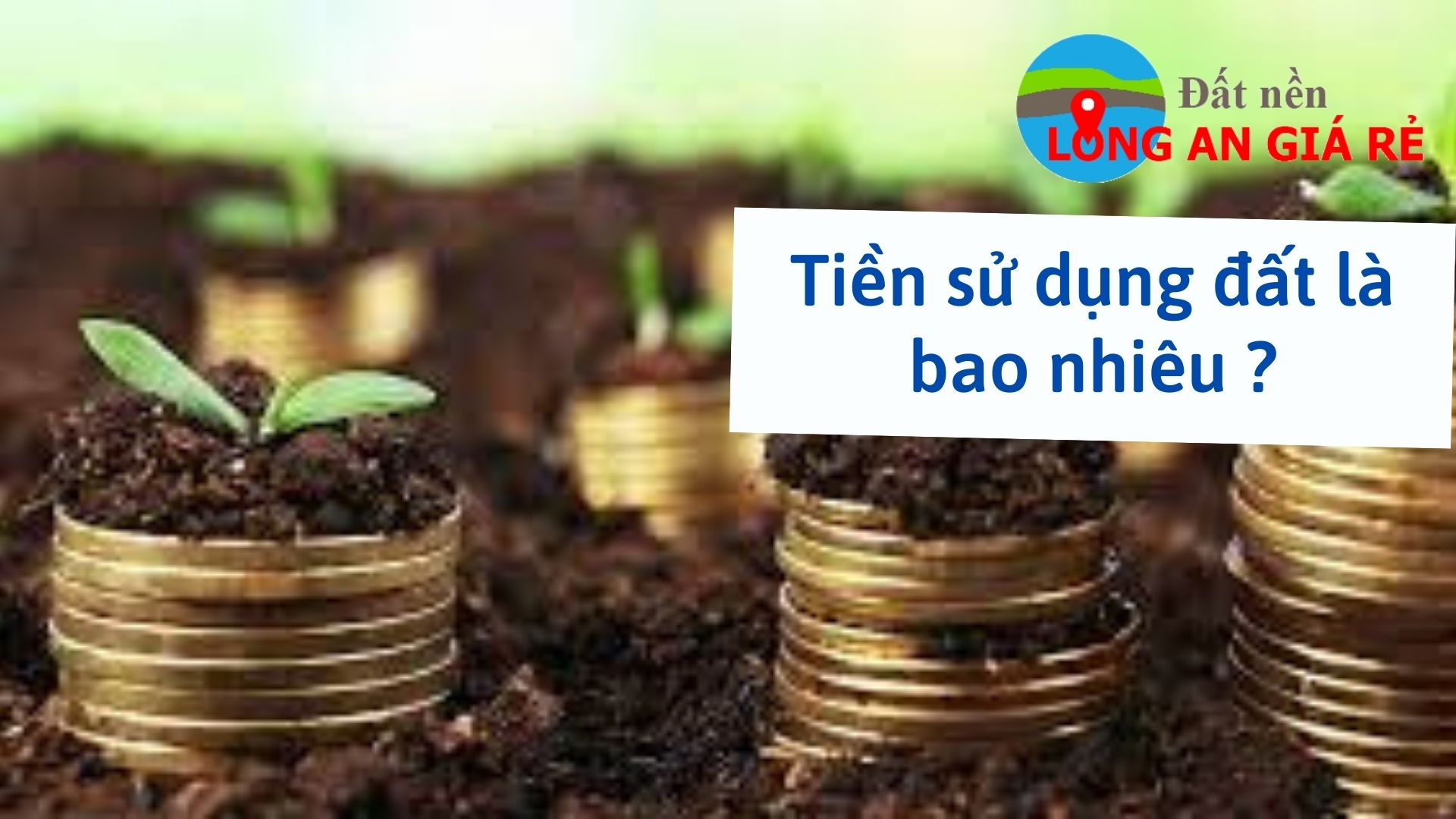 tiền sử dụng đất là bao nhiêu